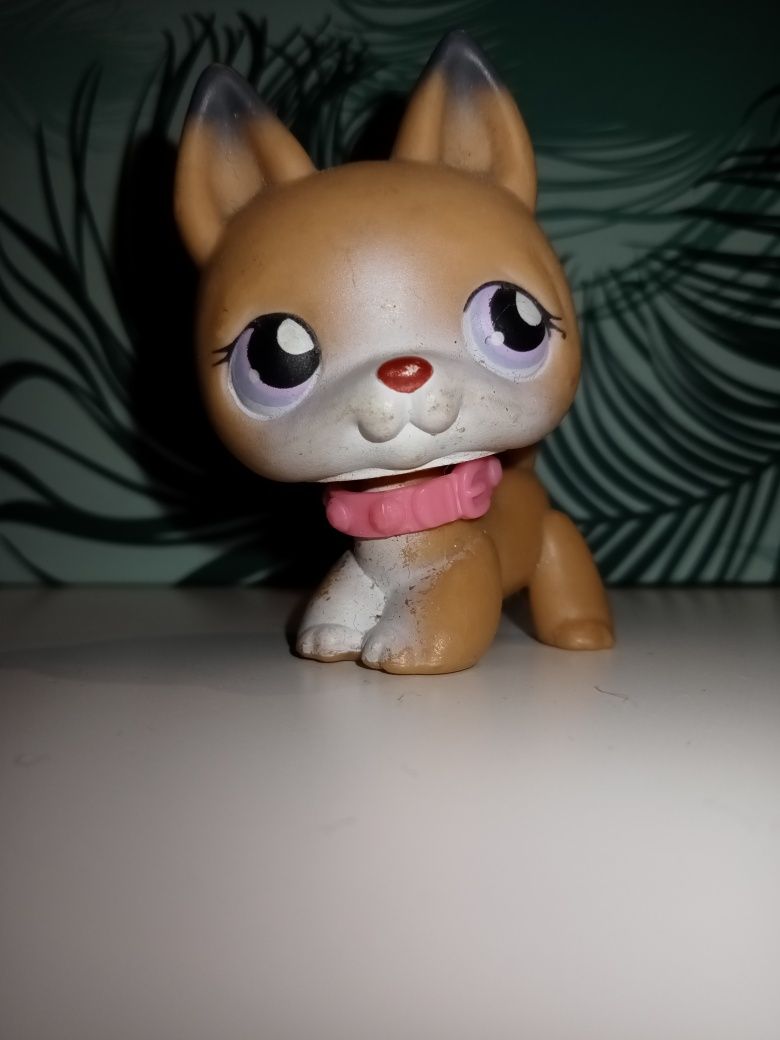 LPS Owczarek niemiecki #112 Hasbro