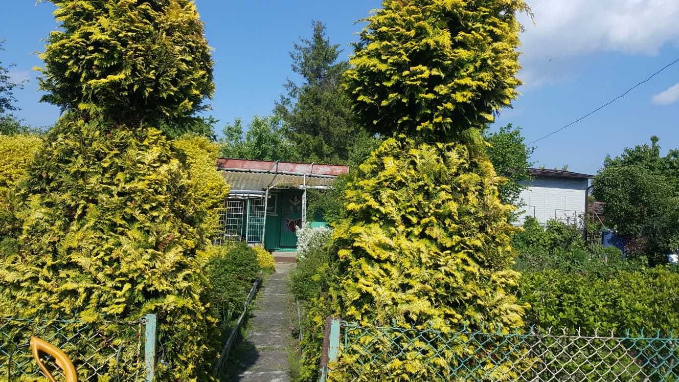 Ogródek działkowy TAMEL