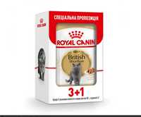 ROYAL CANIN BRITISH shorthair adult 3+1. 140грн.