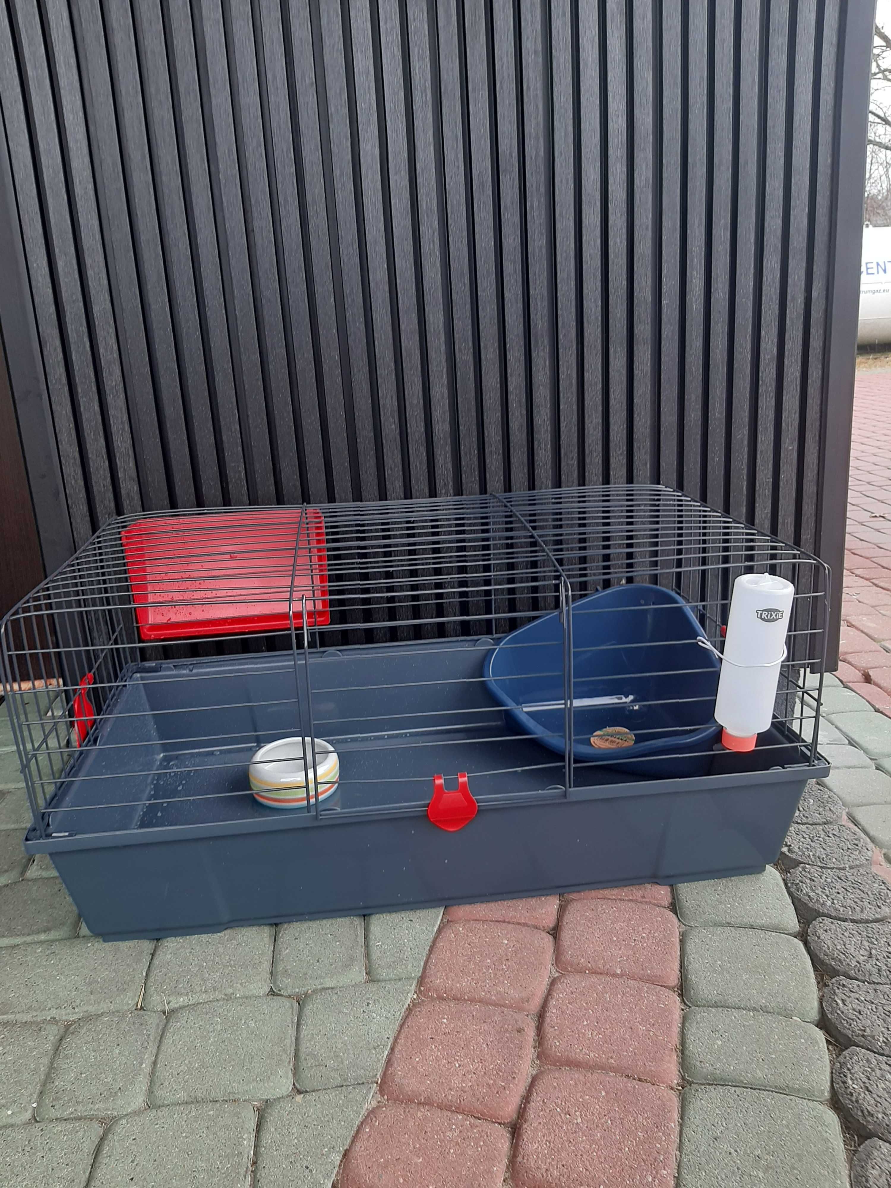 Kroliki baranek miniaturka karzełek mini lop