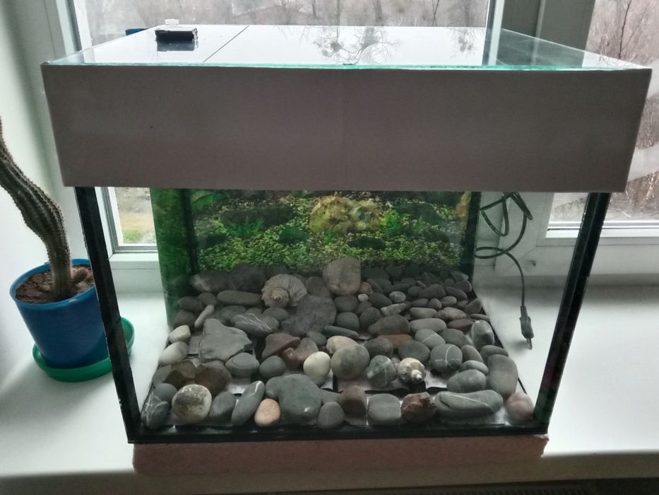 Акваріум 50 літров, з кришкой.