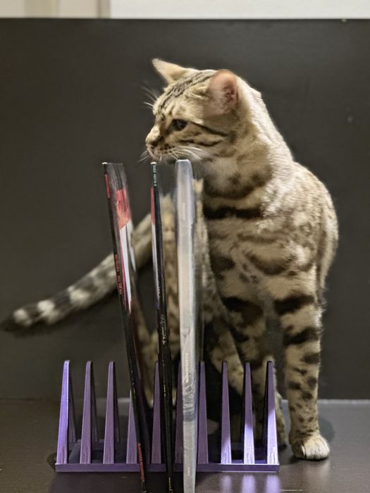 Підставка для вінілових платівок (3D друк)