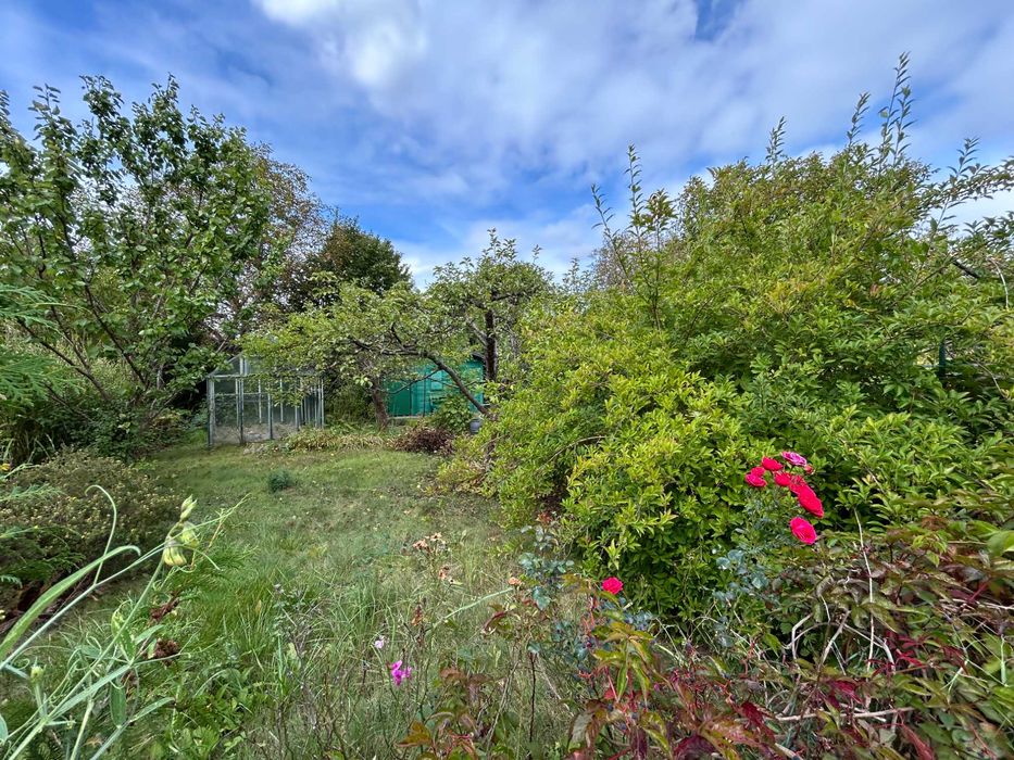 Cicha I ustawna I 400 m2 I ROD Zelmot