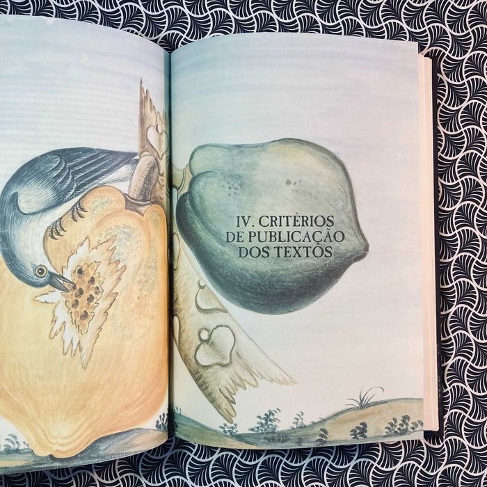 Terra Brasil 1500: A Viagem de Pedro Álvares Cabral