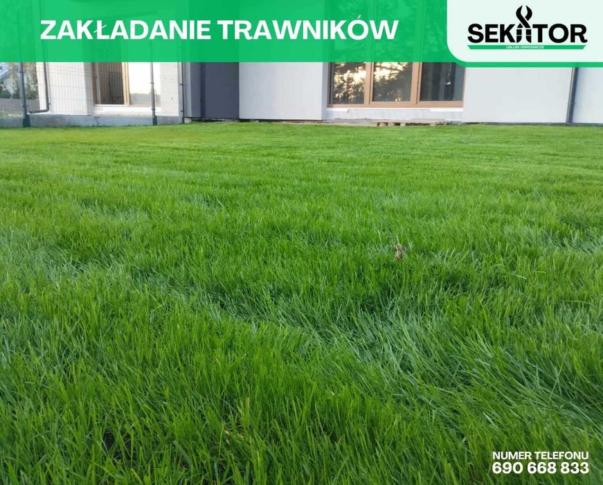 Usługi ogrodnicze: zakładanie trawników, nawadnianie, pielęgnacja