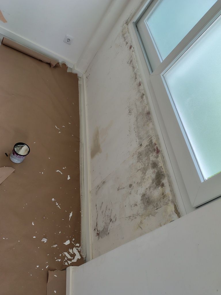Pinturas e manutençoes