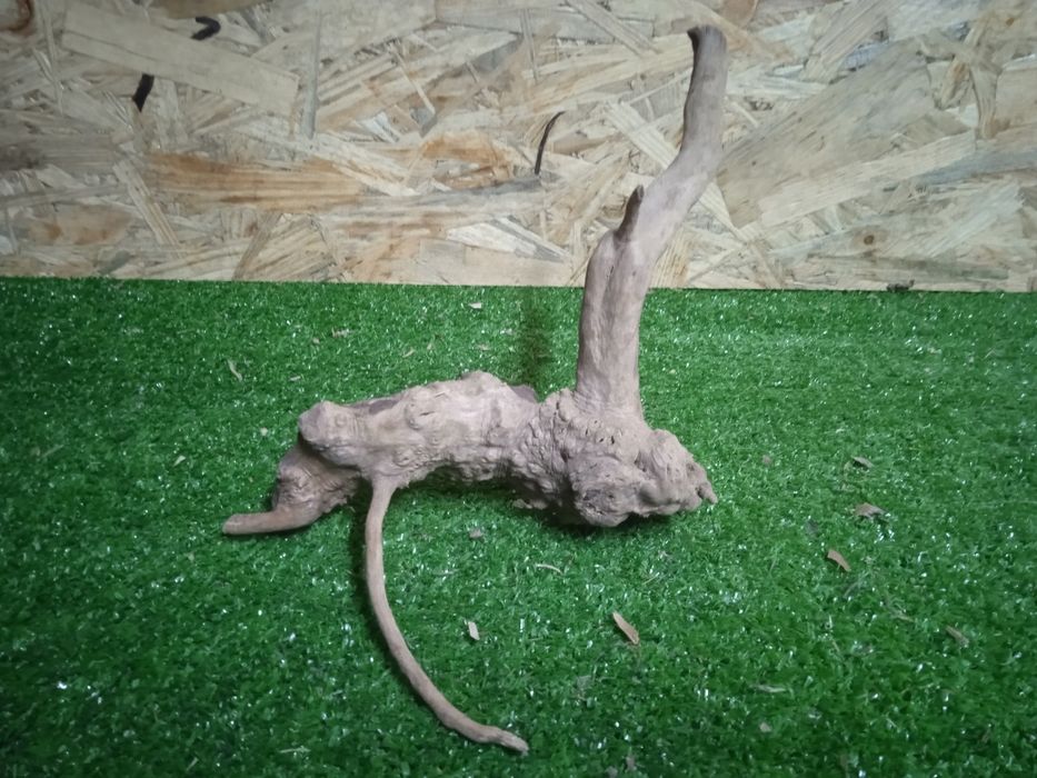 Korzeń do akwarium Red Moore Wood nr 732 o wymiarach 18/15/17