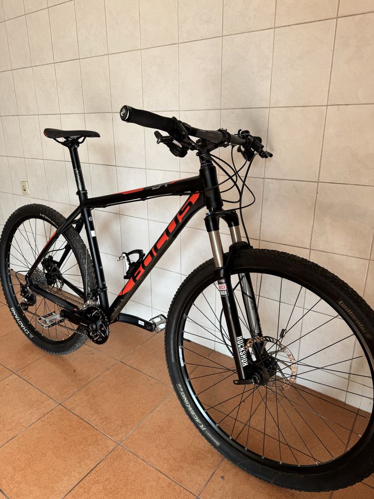 Focus Black Forest