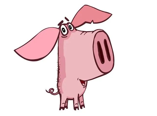 жива вага свині 100 грн