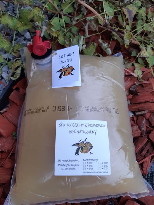 Sok z pigwowca japońskiego 3l