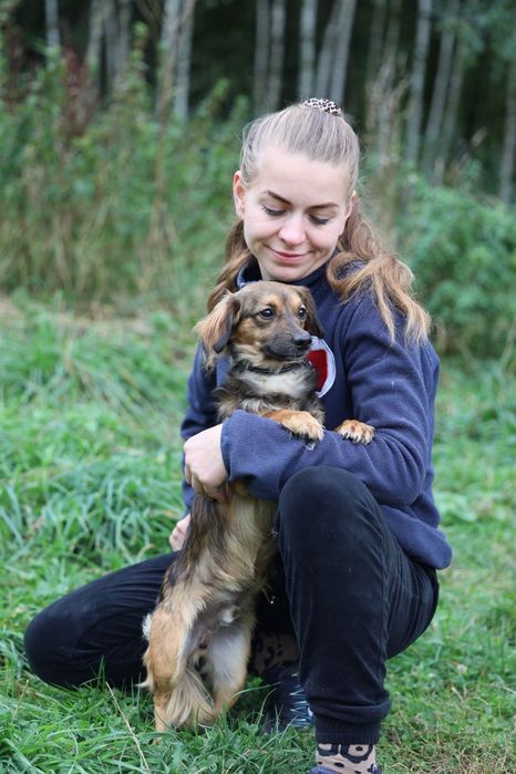 Roczny malutki samiec do adopcji