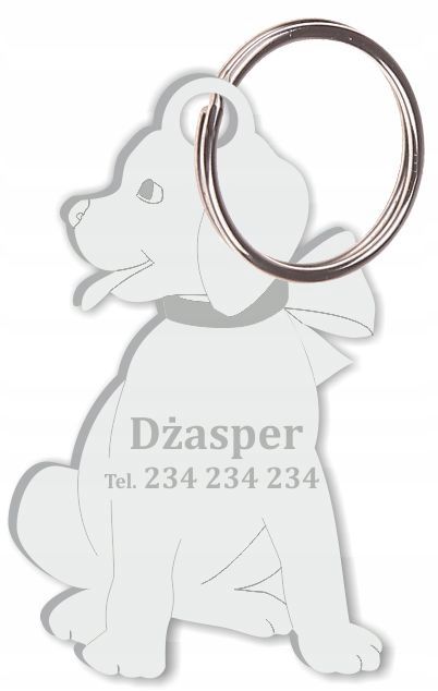 identyfikator zawieszka adresówka grawer dla psa plexi