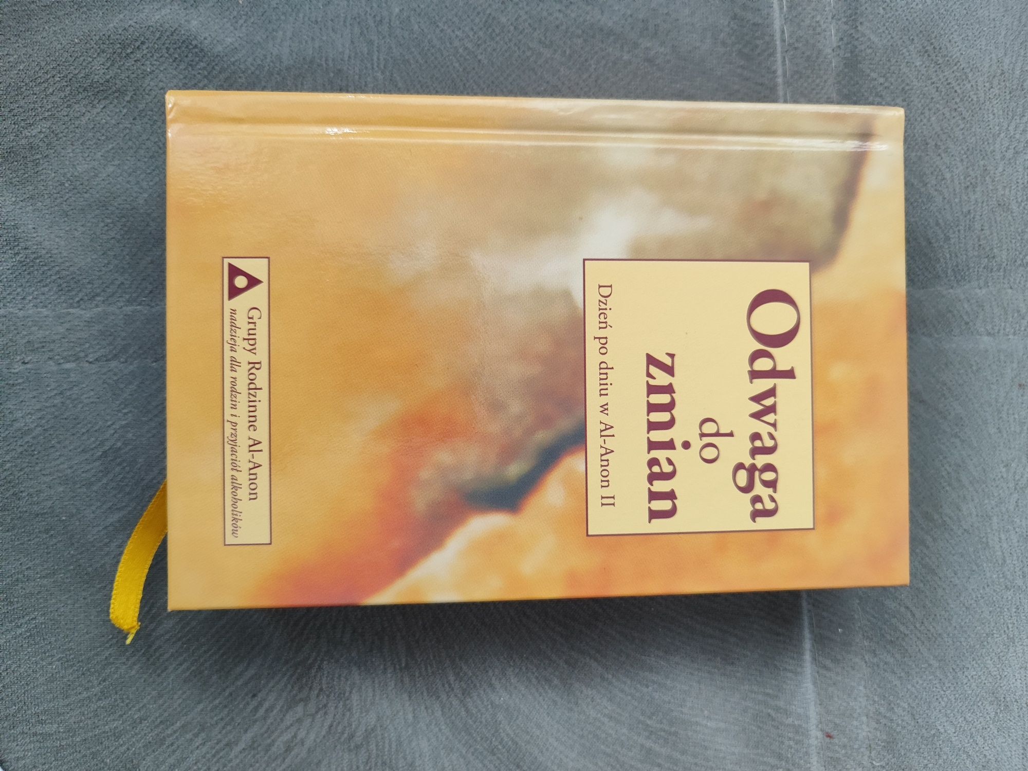 Dzień po dniu w al anon i odwaga do zmian