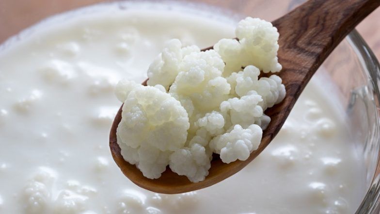 Grzybek tybetanski (kefir naturalny)