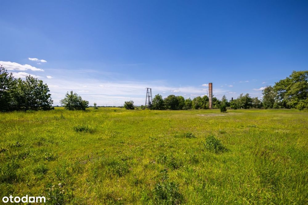 Działka 38,4 ar w Bełżycach pod Usługi / Handel