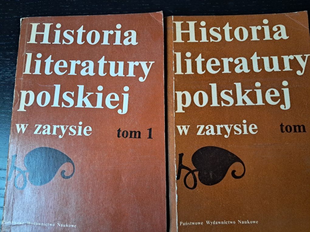 Historia literatury polskiej w zarysie tom I i II