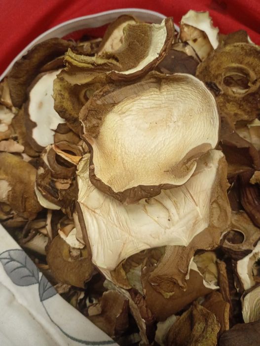 Sprzedam suszone podgrzybki