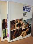 2 livros "A Pintura dos Grandes Museus"