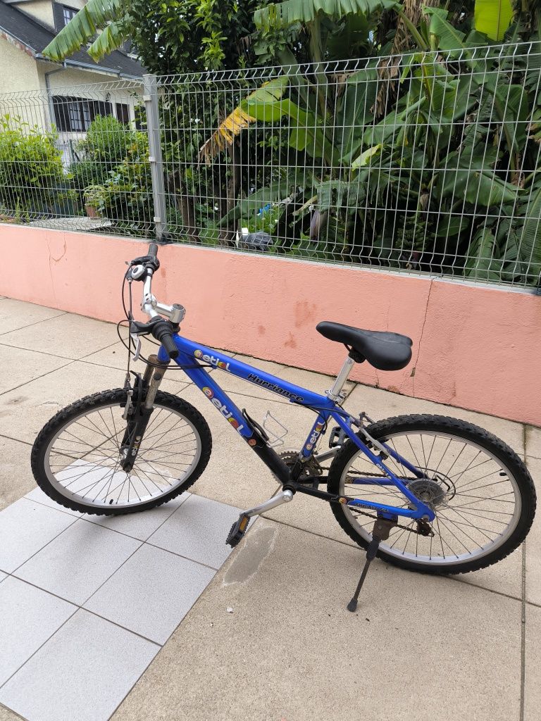 Bicicleta Etiel roda 24