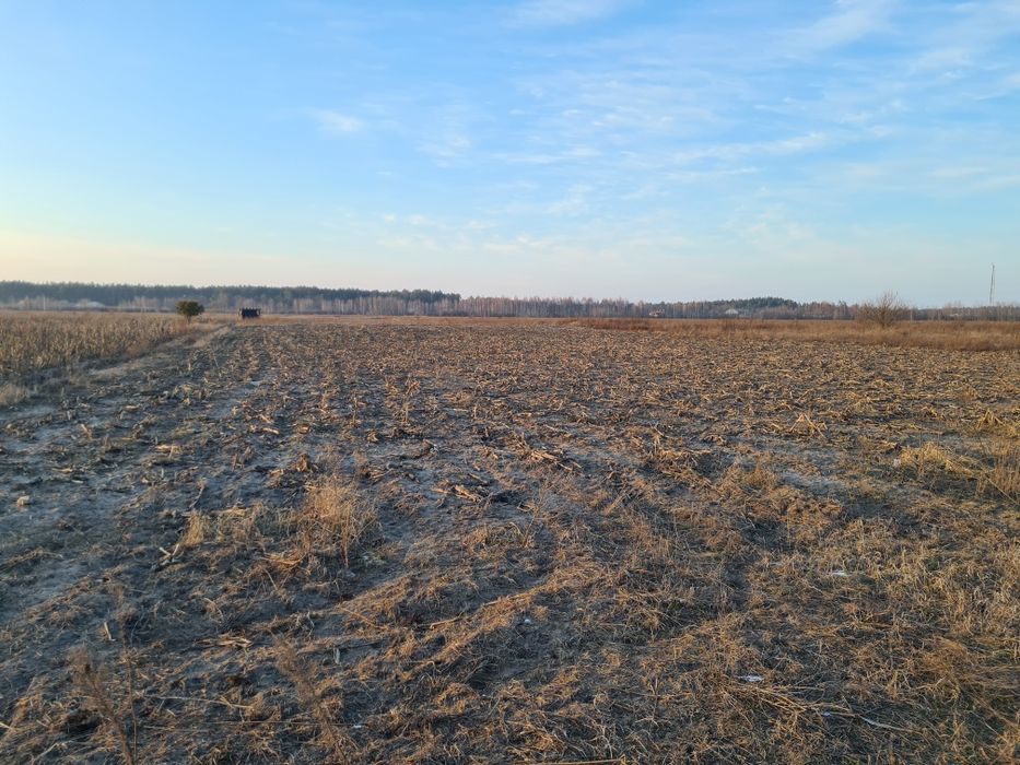 Оренда землі, 2,15га, с.Вища Дубечня,  під сад, овочі, теплиці, інше