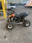 Polaris predator 500