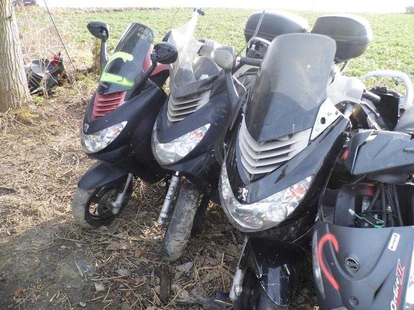 PEUGEOT ELYSTAR 50 2T CZESCI silnik czsza gaźnik stelaż lampa czasza