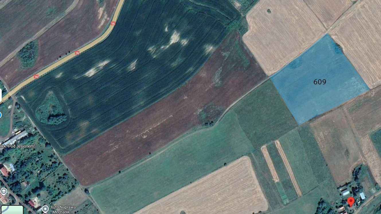 Mazury 6 km od Mikołajek - działki rolne w Woźnicach