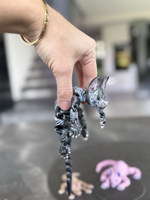 Grafitowy kot sfinks – wyjątkowy, pełen charakteru