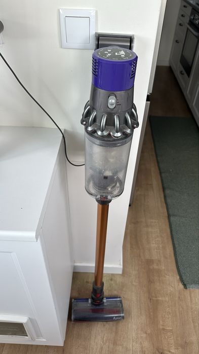 Dyson v8 completo