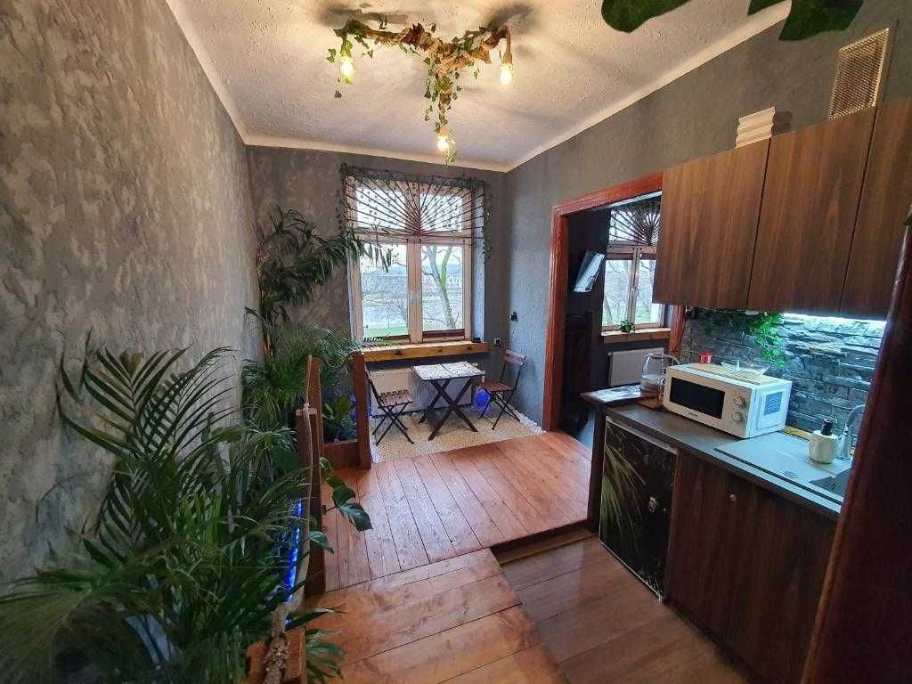 JUNGLE apartament z jacuzzi w centrum miasta