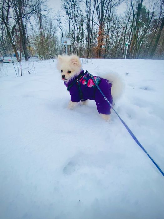 Теплий комбінезон