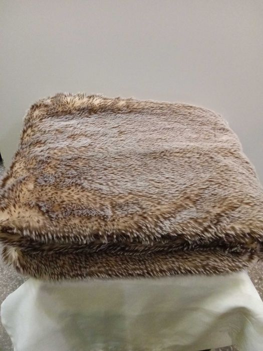 Koć next że sztywnego futerka