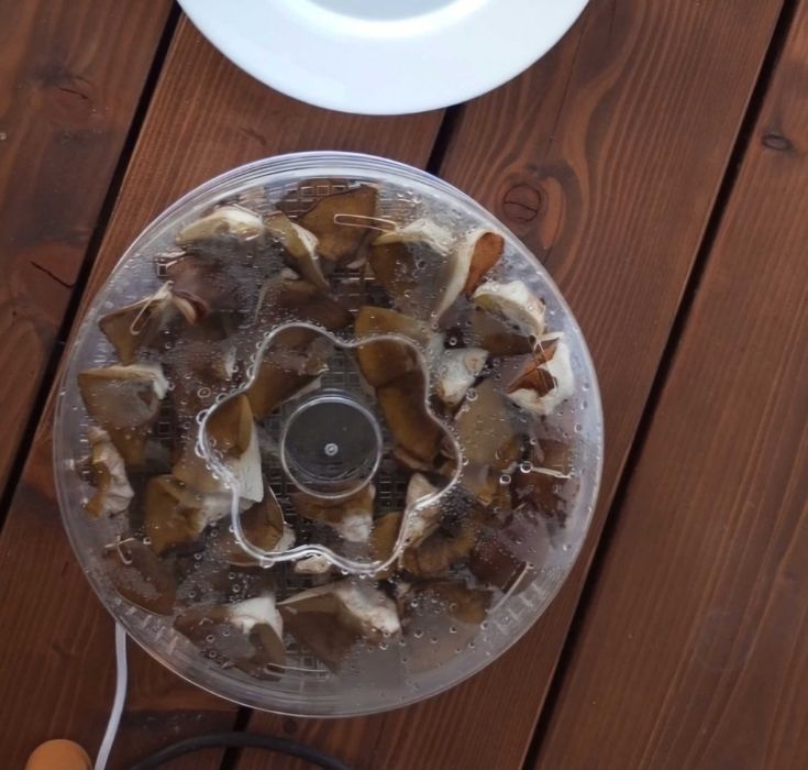 Suszarka do Grzybów Owoców Warzyw
Spożywcza Kuchenna 250W