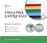 Serviço Profissional de Engomar Roupas – EGX