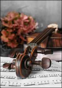 Уроки гри на скрипці для всіх
