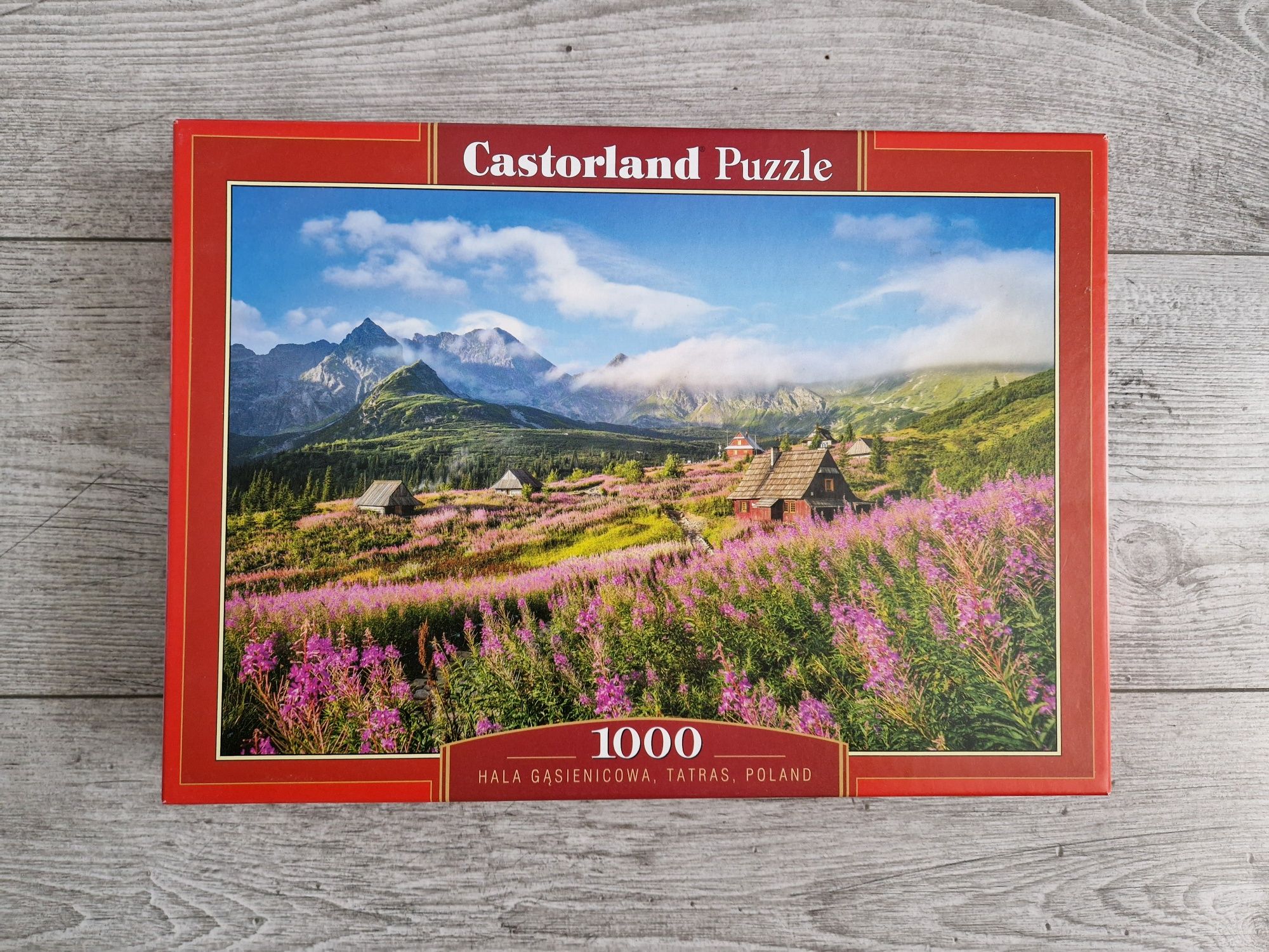 Puzzle Castorland 1000 Tatry Hala Gąsienicowa