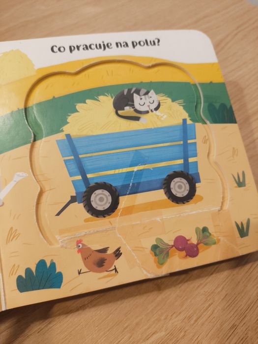 Książki grające z dźwiękami książeczki mojej pierwsze odgłosy twarde