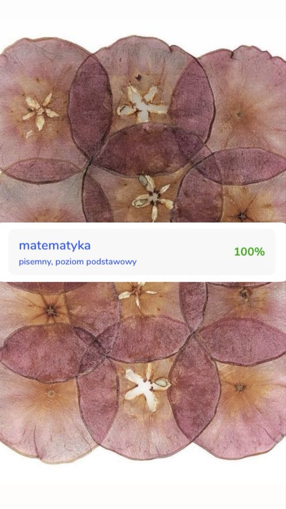 korepetycje z matematyki