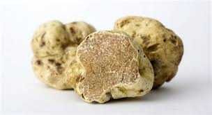 Міцелій білого трюфеля 150грам