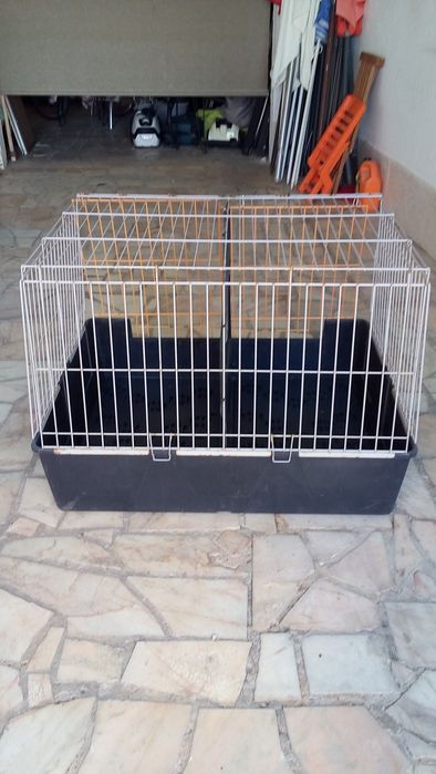 Caixa Dupla Transporte Animais