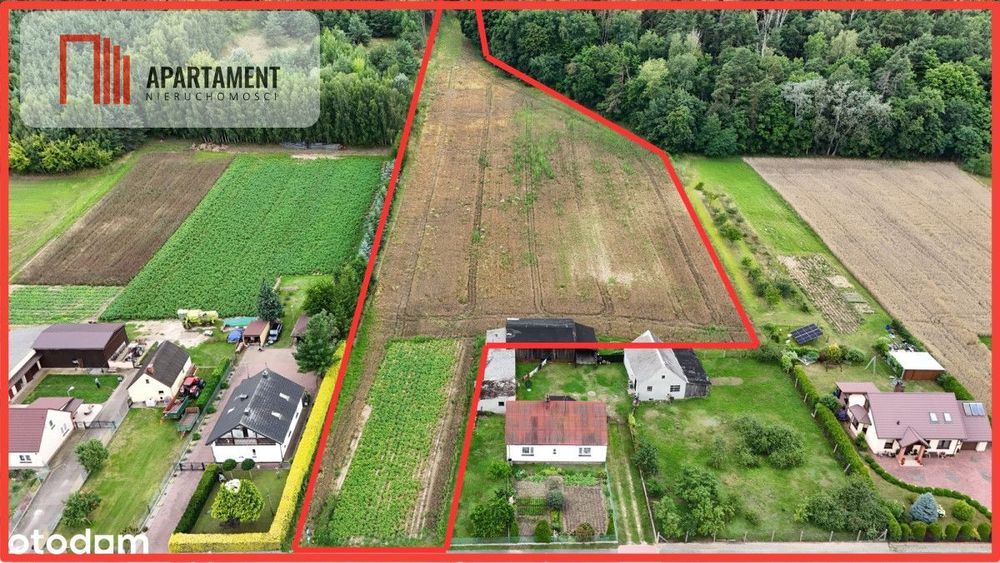 Tylko u nas! Działka-1,13ha-Gruczno-media-WZ