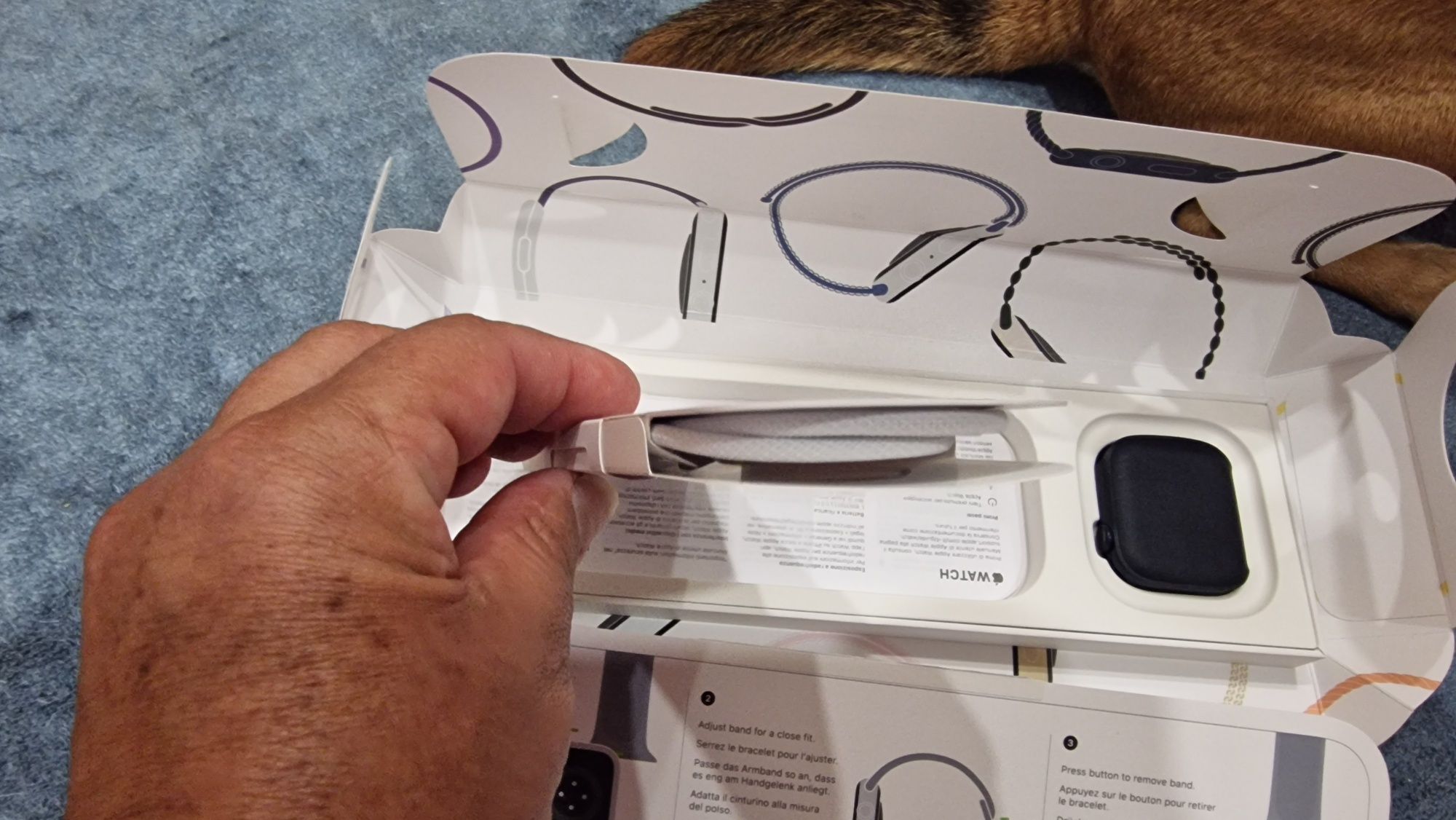 Apple watch novo