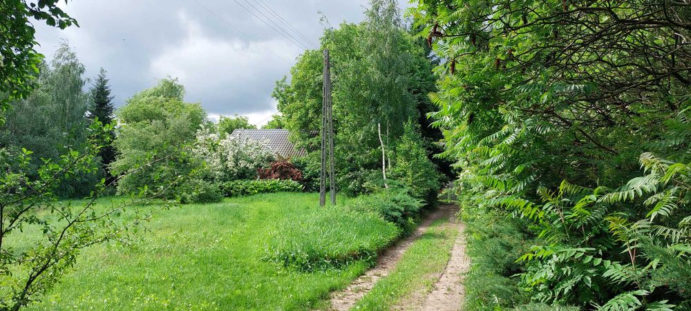 Sprzedam działkę siedliskową  w bliskim sąsiedztwie Nałęczowa
