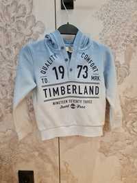 Bluza chłopięca Timberland