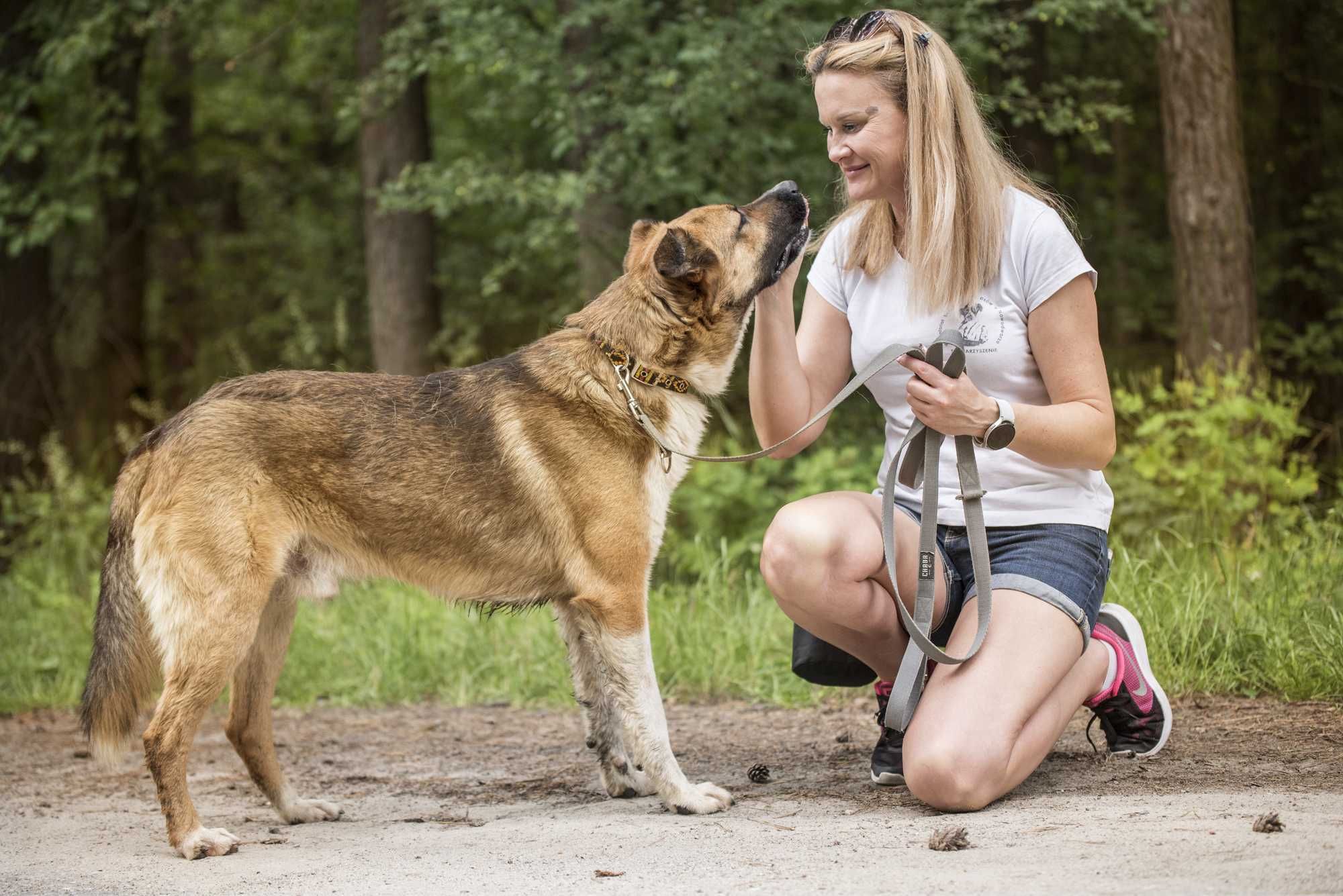STARK - duży misiak zapewni Ci wsparcie i bezpieczeństwo