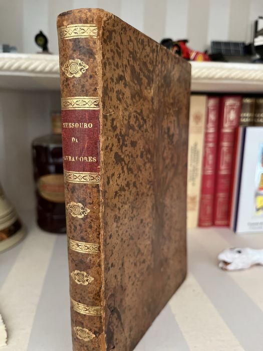 Livro Sec XIX Thesouro de Lagradores
