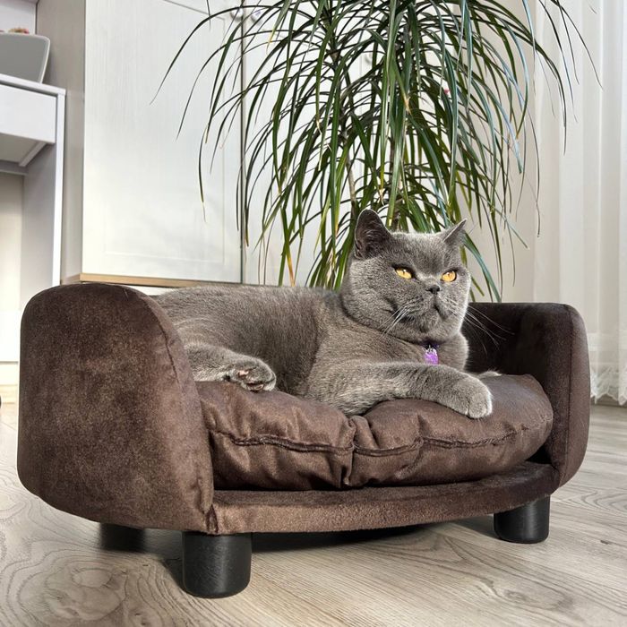 Лежак диван лежанка для маленьких середніх собак кота Дерев’яний леж