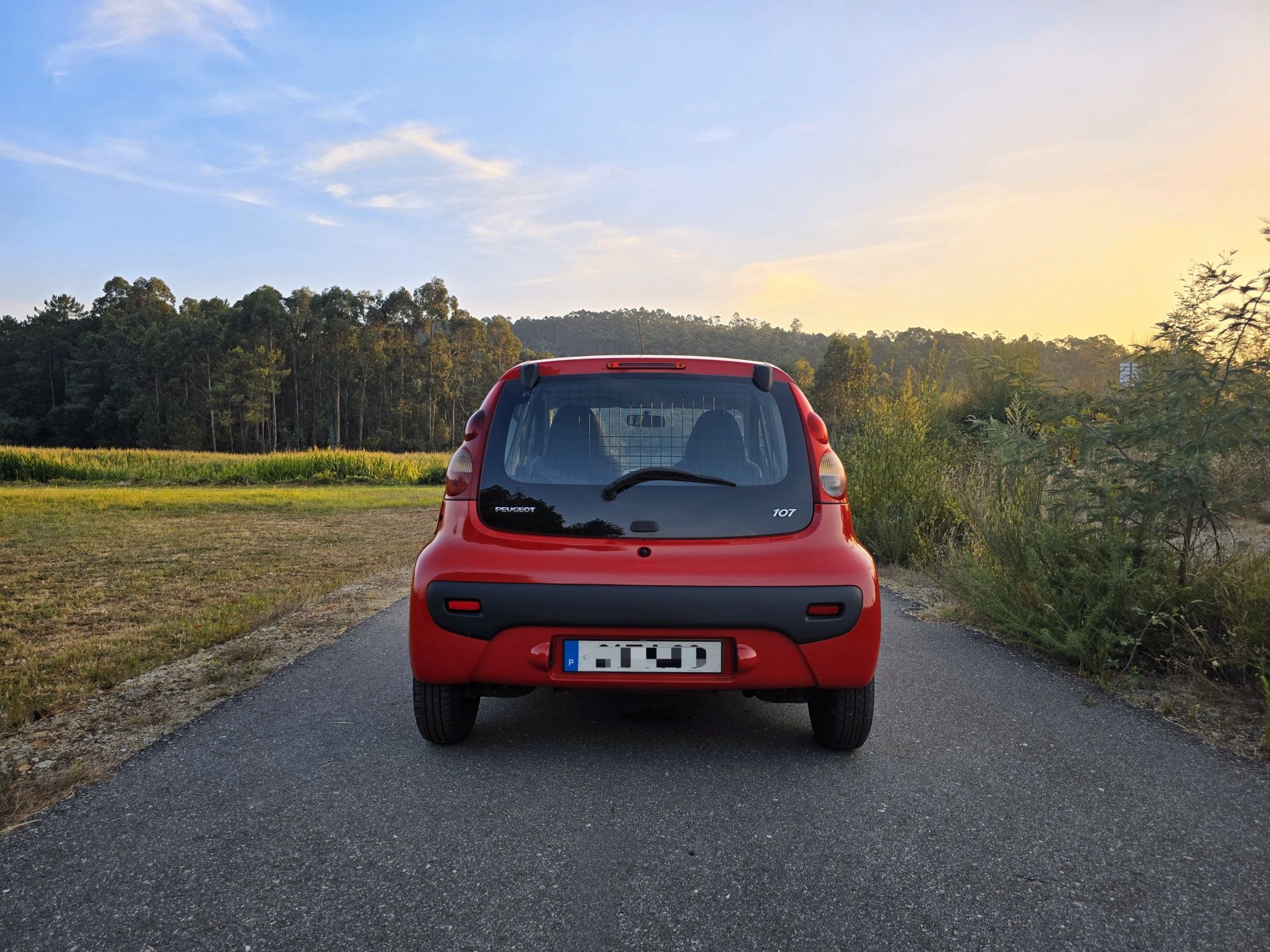 Peugeot 107 1.4 HDI Nacional