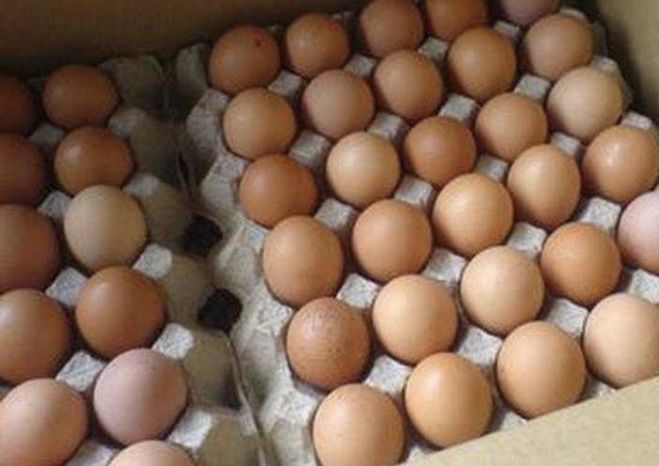 Інкубаційні яйця