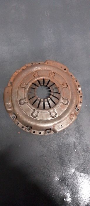 Продам щеплення віваро 1.9